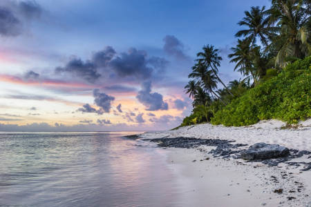 Tropical beach with palm trees, gentle waves and sandy beach